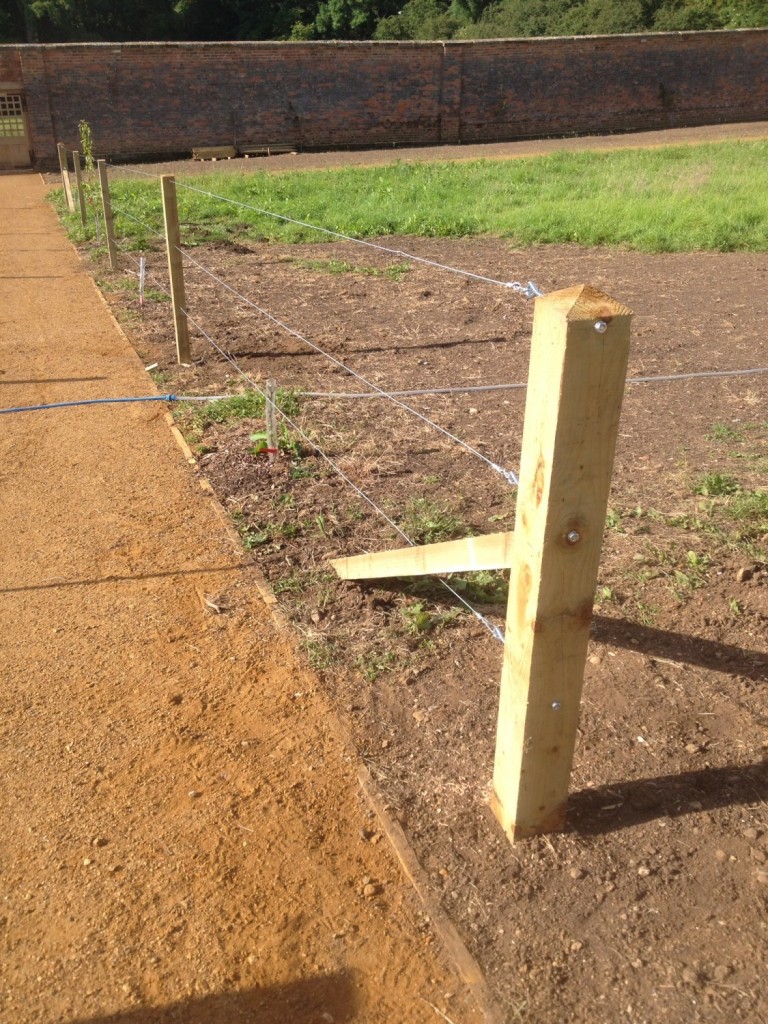 Espalier Fencing