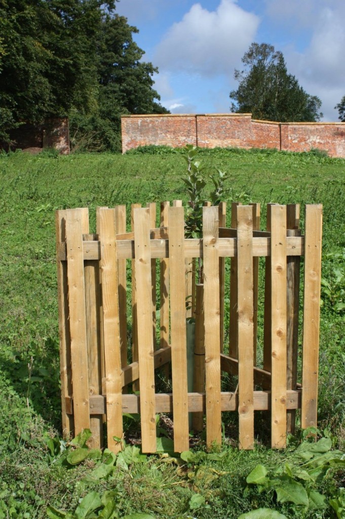 Tree Guard